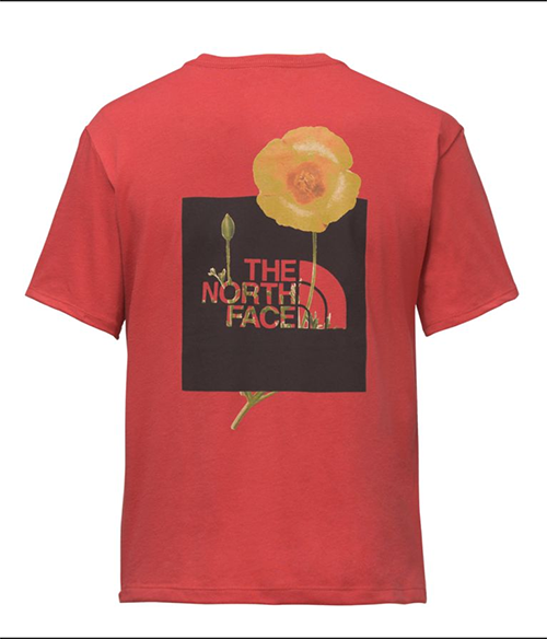 WOMEN'S SHORT-SLEEVE BOTTLE SOURCE RED BOX TEE